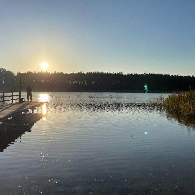 21b5d03d-0ffc-46df-9a7d-91999966dabe